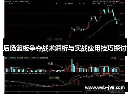 后场篮板争夺战术解析与实战应用技巧探讨