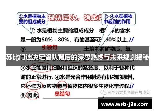苏比门迪决定留队背后的深思熟虑与未来规划揭秘